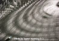 manningimg00007