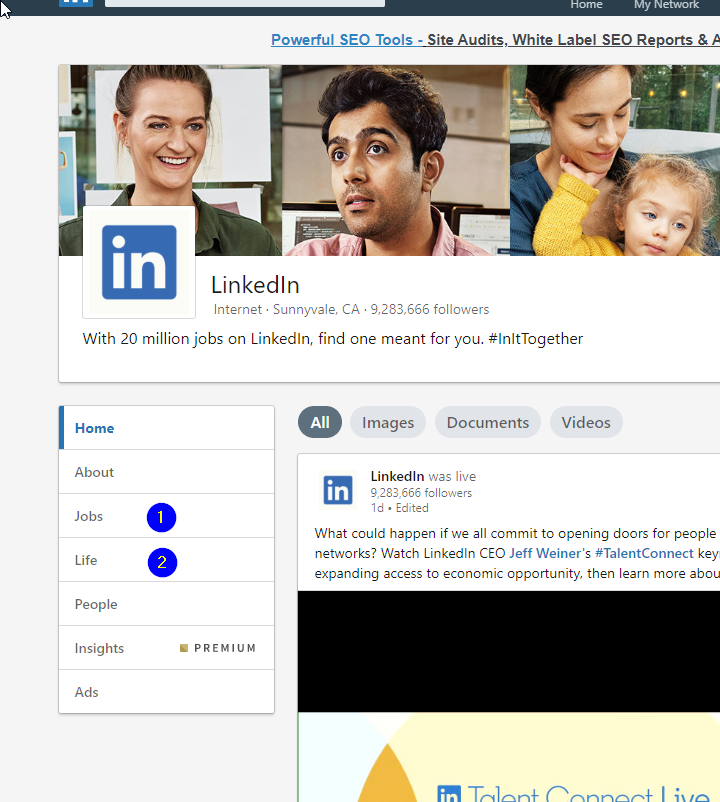 How to Monitor LinkedIn Pages?