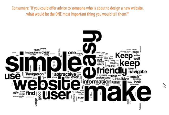 Word Cloud - what people want with websites.